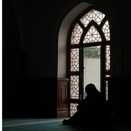 Bosniak Educational Society of British Columbia