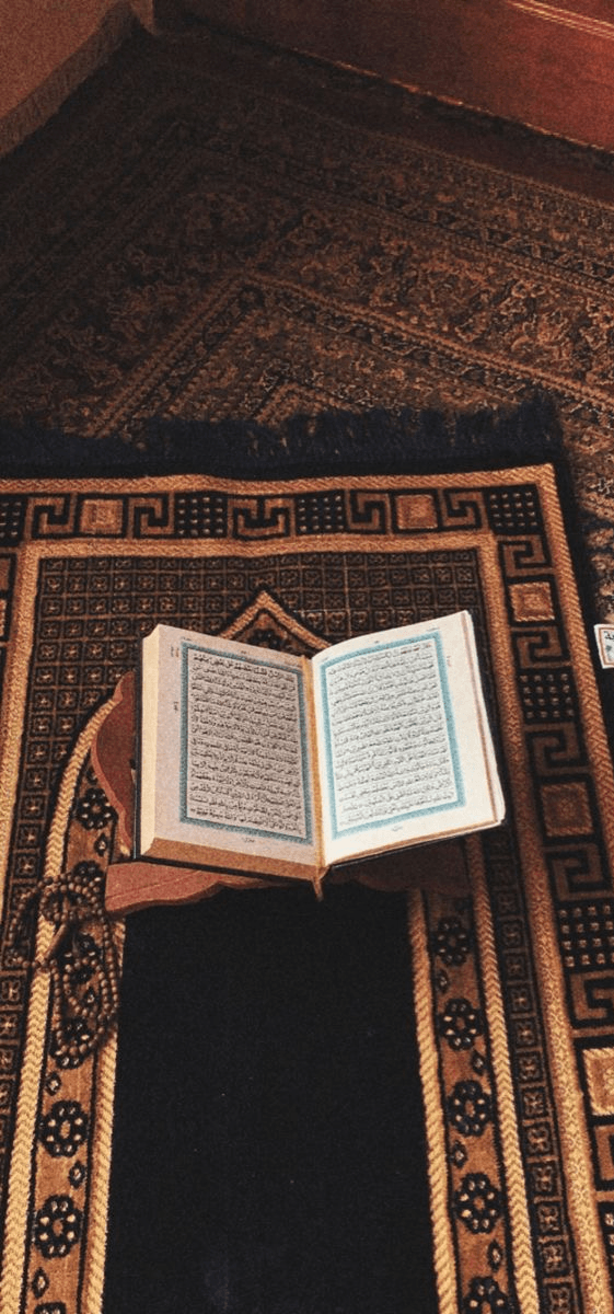 Bosniak Educational Society of British Columbia