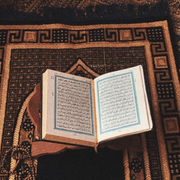 Bosniak Educational Society of British Columbia